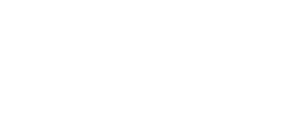 Vieira Ruiz Studio